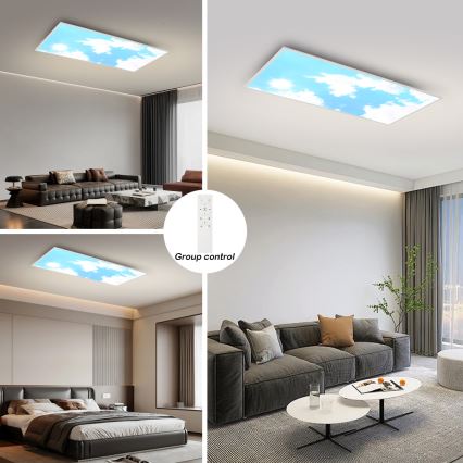 Brilagi - Dimbare LED-plafondlamp SLIMFRAME SKY LED/80W/230V 120x60 cm 3000-6000K zilver/blauw + afstandsbediening