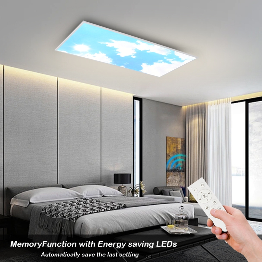 Brilagi - Dimbare LED-plafondlamp SLIMFRAME SKY LED/80W/230V 120x60 cm 3000-6000K zilver/blauw + afstandsbediening