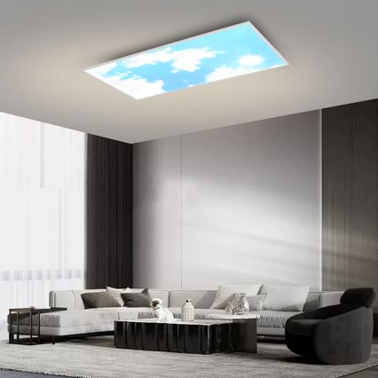 Brilagi - Dimbare LED-plafondlamp SLIMFRAME SKY LED/80W/230V 120x60 cm 3000-6000K zilver/blauw + afstandsbediening