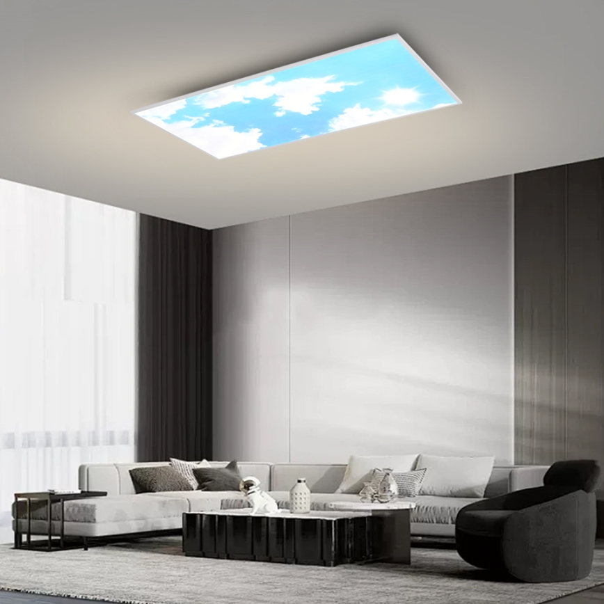 Brilagi - Dimbare LED-plafondlamp SLIMFRAME SKY LED/80W/230V 120x60 cm 3000-6000K zilver/blauw + afstandsbediening