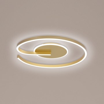 Brilagi -Dimbare LED plafondlamp SPIRAL LED/56W/230V 3000/4000/6000K+ afstandsbediening