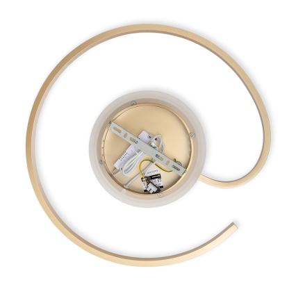 Brilagi - LED-dimbare plafondlamp SPIRAL LED/56W/230V diam. 50 cm 3000/4000/6000K + afstandsbediening