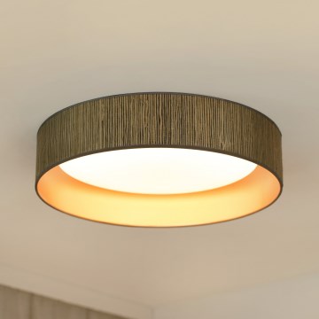 Brilagi - Dimbare LED plafondlamp VEGAS SHINE LED/24W/230V 3000/4000/6500K stro bruin/goud + afstandsbediening