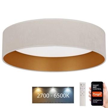 Brilagi - Dimbare LED Plafondlamp VELVET SMART LED/24W/230V d. 45 cm 2700-6500K Wi-Fi Tuya + afstandsbediening