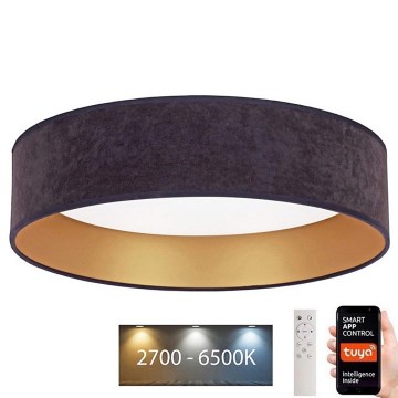 Brilagi - Dimbare LED Plafondlamp VELVET SMART LED/24W/230V d. 45 cm 2700-6500K Wi-Fi Tuya grijs/goud + afstandsbediening