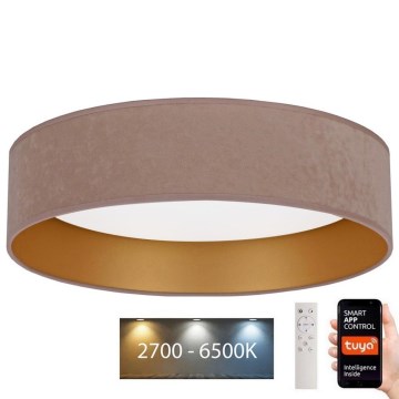 Brilagi - Dimbare LED Plafondlamp VELVET SMART LED/36W/230V d. 55 cm 2700-6500K Wi-Fi Tuya beige/goud + afstandsbediening