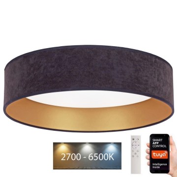 Brilagi - Dimbare LED Plafondlamp VELVET SMART LED/36W/230V d. 55 cm 2700-6500K Wi-Fi Tuya grijs/goud + afstandsbediening