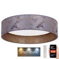 Brilagi - Dimbare LED Plafondlamp VELVET SMART LED/36W/230V d. 55 cm 2700-6500K Wi-Fi Tuya grijs/goud + afstandsbediening