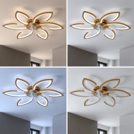 Brilagi - LED-dimbare plafondventilator LED/34W/230V Ø 78 cm goudkleurig + afstandsbediening