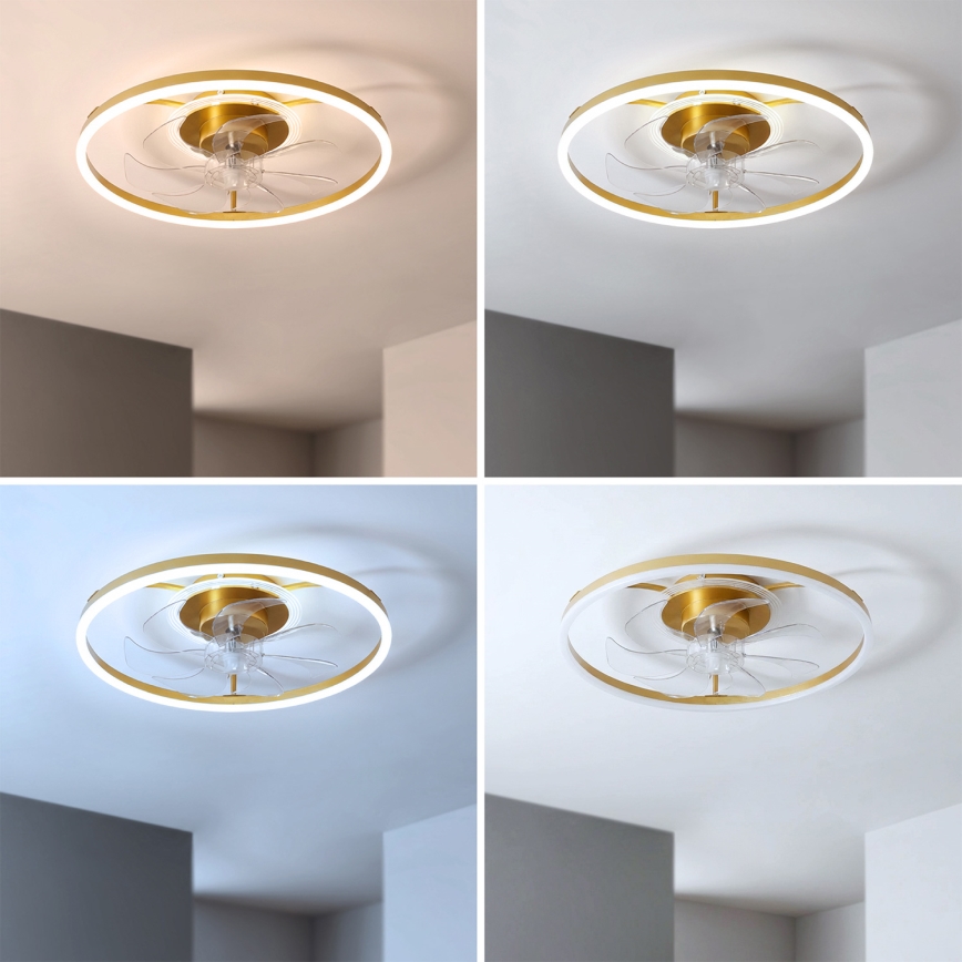 Brilagi - Dimbare LED-plafondventilator LED/66W/230V 55 cm wit/goud + afstandsbediening