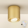 Brilagi - Dimbare LED RGBW-spot MIA 1xGU10/30W/230V 2700-6500K Wi-Fi 84x80 mm goud