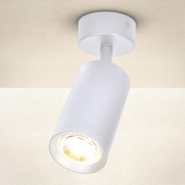 Brilagi - dimbare LED-spot SELE 1xGU10/6,5W/230V 2700-6500K wit
