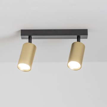 Brilagi - Dimbare LED-spot SELE GOLDEN 2xGU10/6,5W/230V 2700-6500K zwart/goud