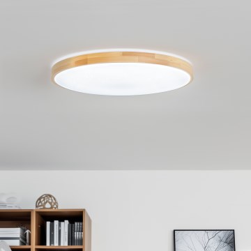 Brilagi - Dimbare OPAL LED-plafondlamp LED/24W/230V 37,5x37,5 cm 3000/4000/6500K + afstandsbediening
