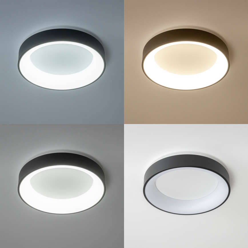 Brilagi - LED-dimbare plafondlamp FALCON LED/80W/230V 3000-6500K Ø 60 cm zwart + afstandsbediening