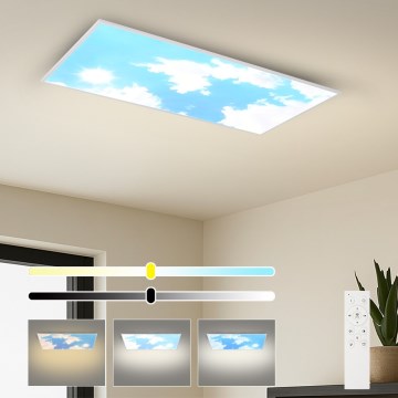 Brilagi - Dimbare SLIMFRAME SKY LED/80W/230V 120x60 cm 3000-6000K zilver/blauw + afstandsbediening