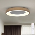 BRILAGI - DORIA dimbare LED-plafondlamp LED/60W/230V 3000-6500K Ø 60 cm + afstandsbediening