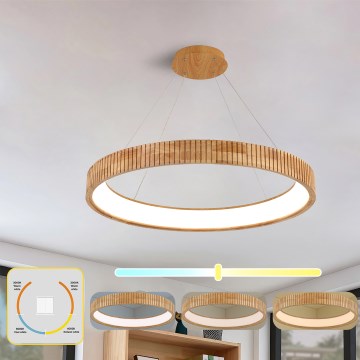 Brilagi - FALCON WOOD MODERN LED-hanglamp aan kabel, 60W/230V, 3000/4000/6000K, Ø 80 cm, hout
