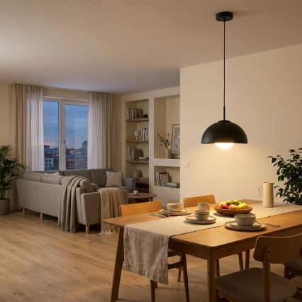 BRILAGI - Hanglamp aan kabel COSMO 1xE27/60W/230V Ø 30 cm zwart