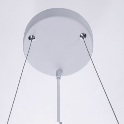 BRILAGI - Hanglamp met kabel SELE 6xGU10/30W/230V wit