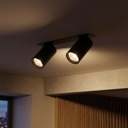 Brilagi - inbouwarmatuur SELE 2xGU10/30W/230V zwart