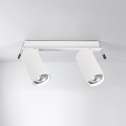 Brilagi - Inbouwspot SELE 2xGU10/30W/230V wit