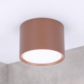 BRILAGI - Inbouwspot SMOOTH 1xGX53/15W/230V 60x82 mm bruin