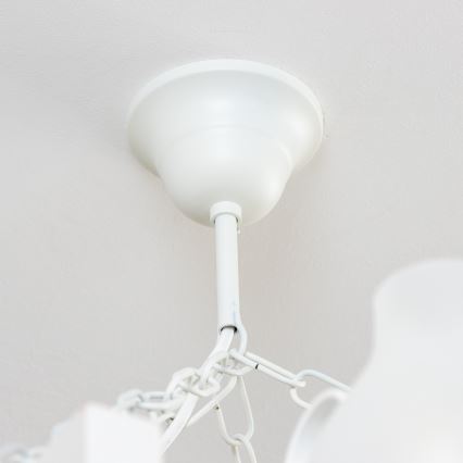 Brilagi - Kroonluchter aan ketting QUEEN 8xE14/40W/230V beuk/crème