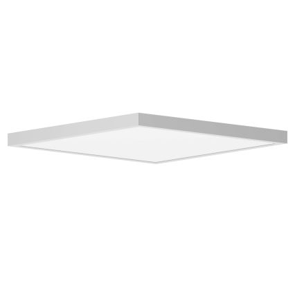 Brilagi - LED Badkamer plafondlamp FRAME LED/50W/230V 60x60 cm IP44 wit