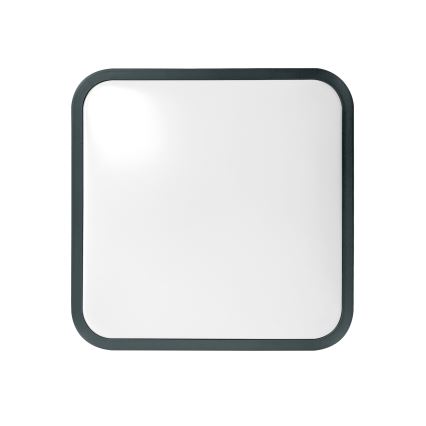 Brilagi - LED plafondlamp voor badkamer met sensor ZENNA LED/24W/230V 34,5x34,5 cm IP44 antraciet + afstandsbediening