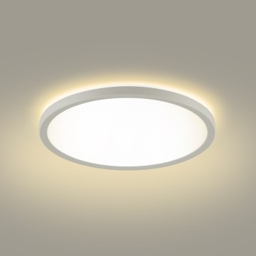 Brilagi - LED Badkamer plafondlamp ULTRA SLIM LED/12W/230V diameter 22,5 cm wit IP54