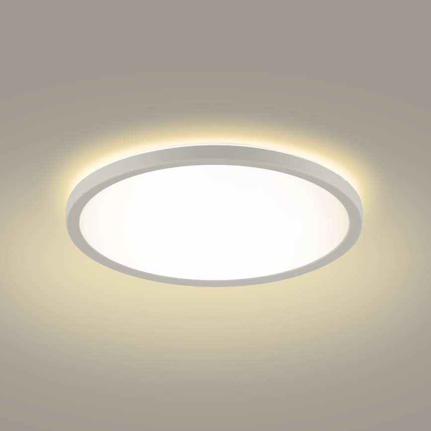Brilagi - LED Badkamer plafondlamp ULTRA SLIM LED/12W/230V diameter 22,5 cm wit IP54