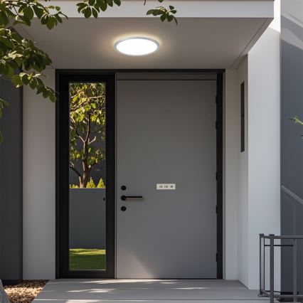 Brilagi - ULTRA SLIM plafondlamp voor badkamer LED/12W/230V Ø 22,5 cm zilverkleurig IP54