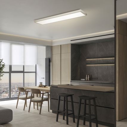 Brilagi - FRAME LED plafondlamp voor badkamer 50W/230V 3000/4000/6000K 120x30 cm IP44 zilverkleurig