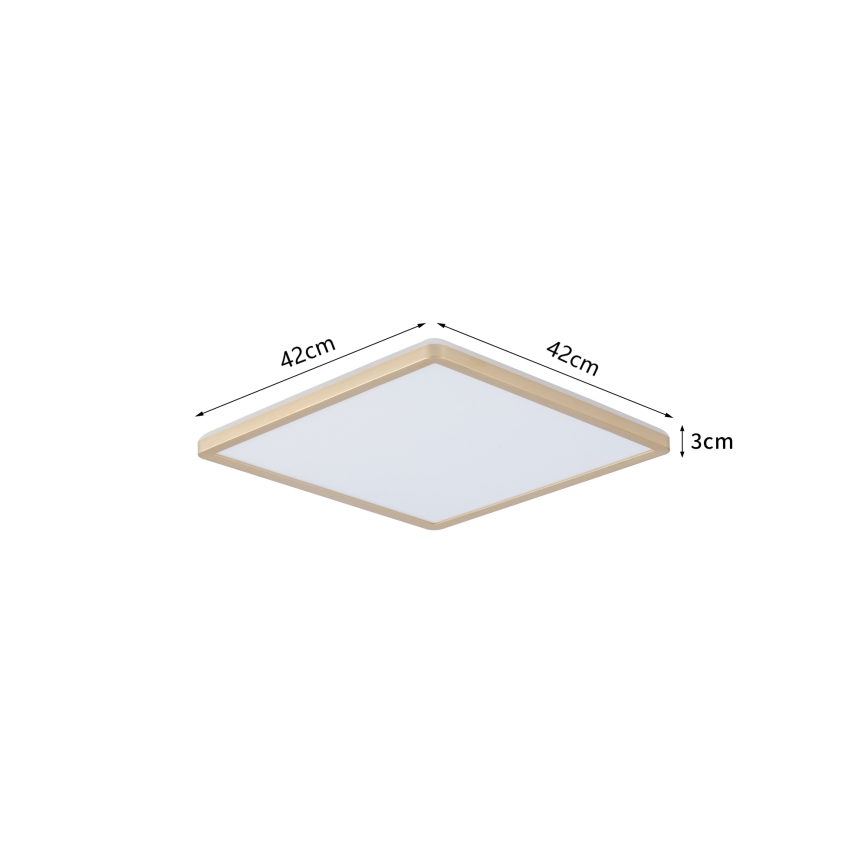 Brilagi - LED-badkamerarmatuur ULTRA SLIM LED/24W/230V 42x42 cm goudkleurig IP54