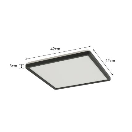 Brilagi - LED Badkamer plafondlamp ULTRA SLIM LED/24W/230V 42x42 cm zwart IP54
