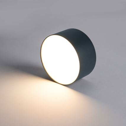 Brilagi - LED plafondlamp voor badkamer FORIS LED/14W/230V diam. 12 cm antraciet IP44