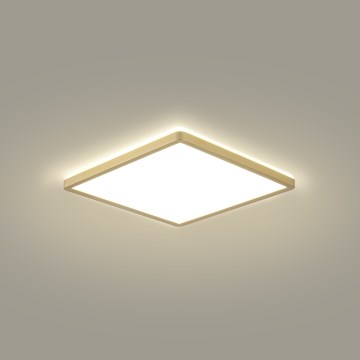 Brilagi - LED Badkamerplafondlamp ULTRA SLIM LED/18W/230V 30x30 cm goudkleurig IP54