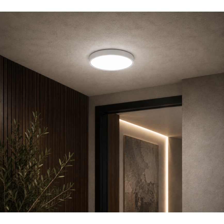 BRILAGI - LED badkamerplafondlamp ZENNA LED/12W/230V pr. 25 cm IP44 wit