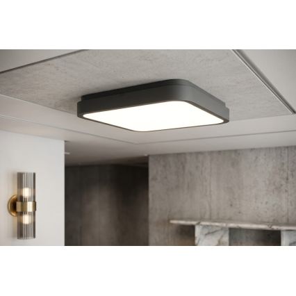 BRILAGI - ZENNA LED plafondlamp voor de badkamer LED/24W/230V 34,5x34,5 cm IP44 antraciet
