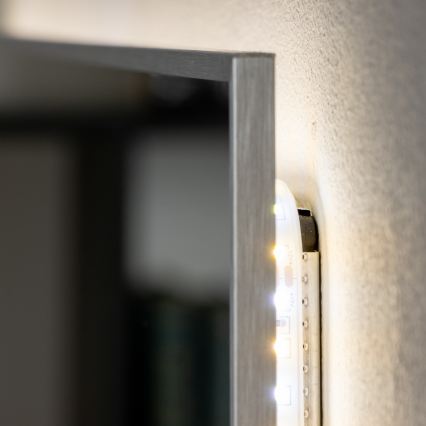 Brilagi - LED-badkamerspiegel DESIO LED/30W/230V 60x90 cm zilver IP44 CRI 90 dimbaar + CCT