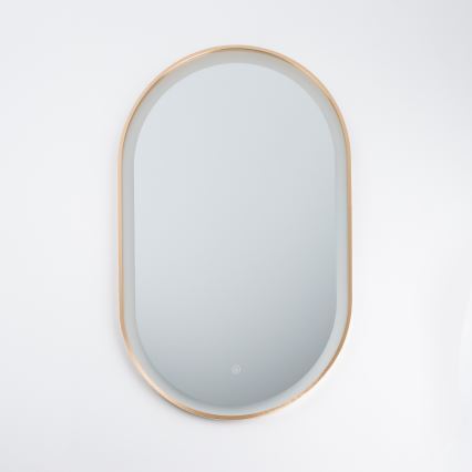 BRILAGI - LED badkamerspiegel ERBA LED/25W/230V 50x80 cm goudkleurig IP44 CRI 90 dimbaar + CCT