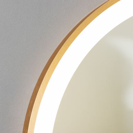 BRILAGI - LED badkamerspiegel ERBA LED/25W/230V 50x80 cm goudkleurig IP44 CRI 90 dimbaar + CCT
