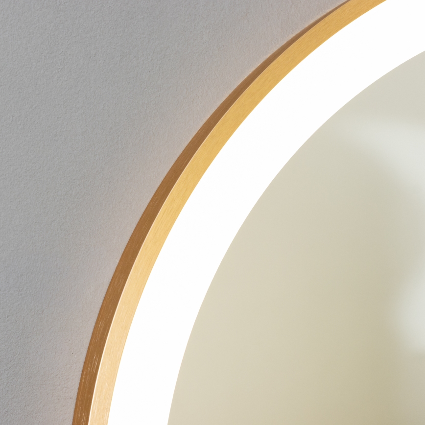 BRILAGI - LED badkamerspiegel ERBA LED/25W/230V 50x80 cm goudkleurig IP44 CRI 90 dimbaar + CCT