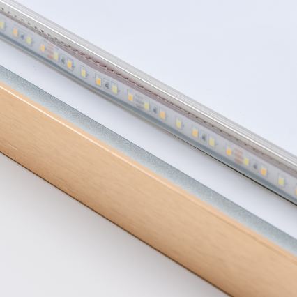 BRILAGI - LED badkamerspiegel ERBA LED/25W/230V 50x80 cm goudkleurig IP44 CRI 90 dimbaar + CCT