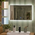 BRILAGI - LED badkamerspiegel LUCE LED/20W/230V 40x60 cm IP44 CRI 90 dimbaar + CCT