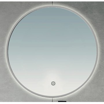 BRILAGI - LED badkamerspiegel VENA SILVER LED/32W/230V Ø 100 cm IP44 CRI 90 dimbaar + CCT
