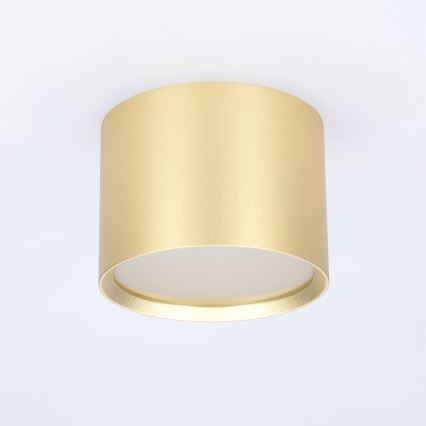 BRILAGI - LED badkamerspot SMOOTH 1xGX53/15W/230V 60x82 mm goud IP54