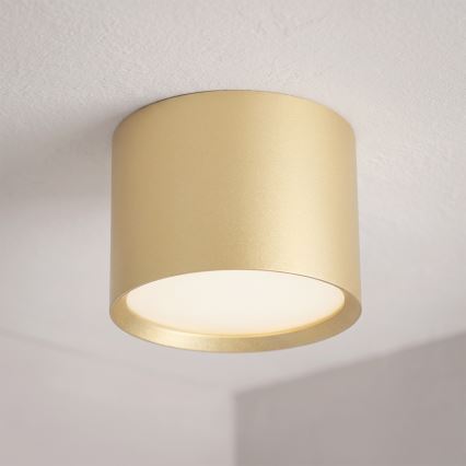 BRILAGI - LED badkamerspot SMOOTH 1xGX53/15W/230V 60x82 mm goud IP54