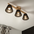 Brilagi - LED  Bevestigde hanglamp ANTHONY 3xE14/40W/230V eiken/zwart